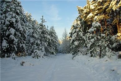 《街头霸王6》玩家ID因为歧视黑人 账号被封200年